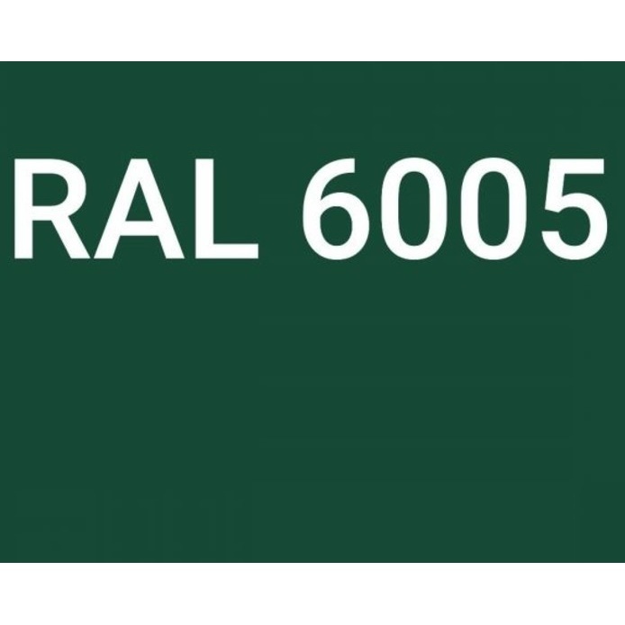 Farba proszkowa RAL6005/G/PO/P